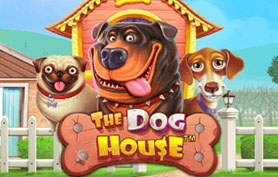 The Dog House